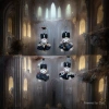 Key chain series, Shirley plush hanging toys, key chains, backpack pendants, etc details Picture